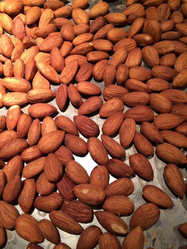 Delicious, Healthy and Easy Soaked Nuts Holistic Health to Go